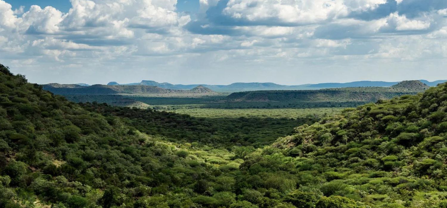 Africa, South Sudan - Momentary Awe