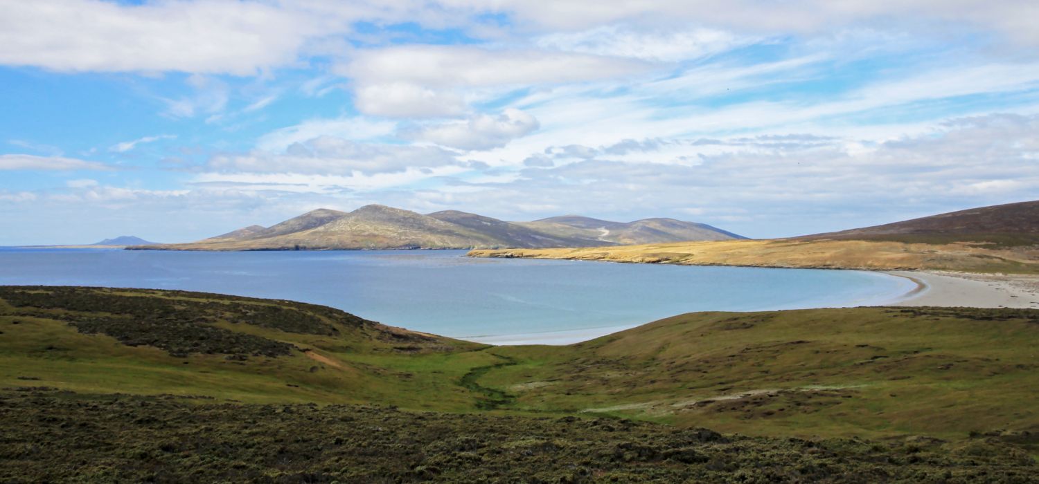 Coastline, beach at Saunders Island, Falkland Islands, Islas Malvinas