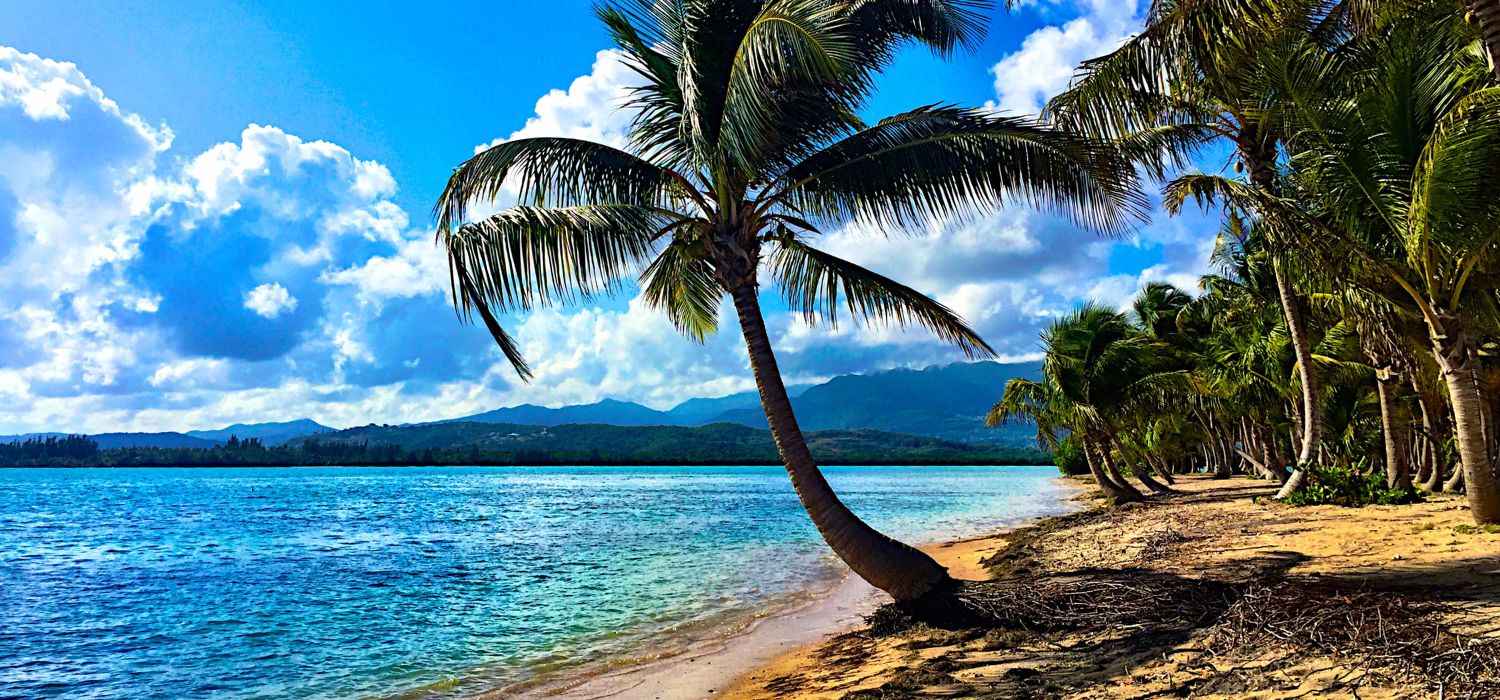 Beach of Puerto Rico