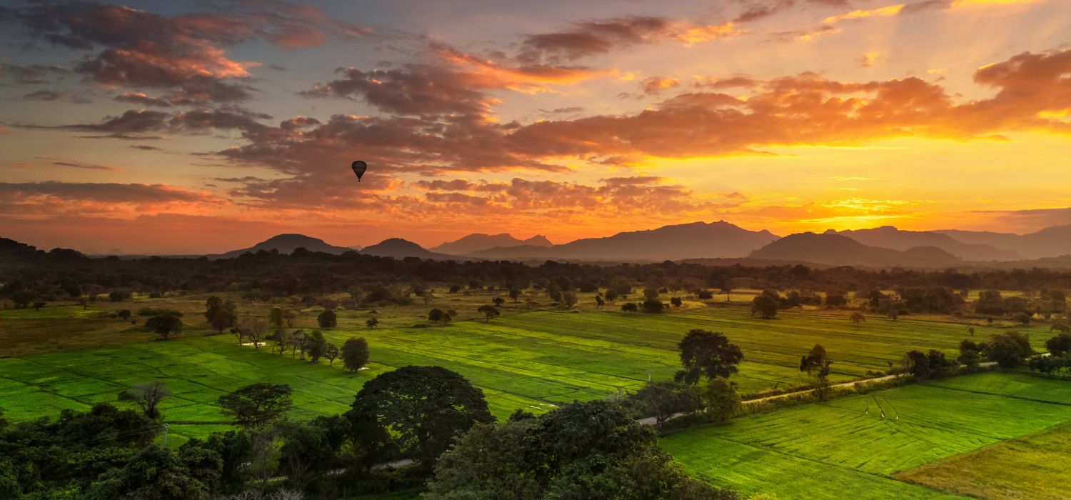 Bird eye view on the fresh green fields of Ceylon, extreme flight on hot air balloon over wonderful nature of South Asia, Sri Lanka