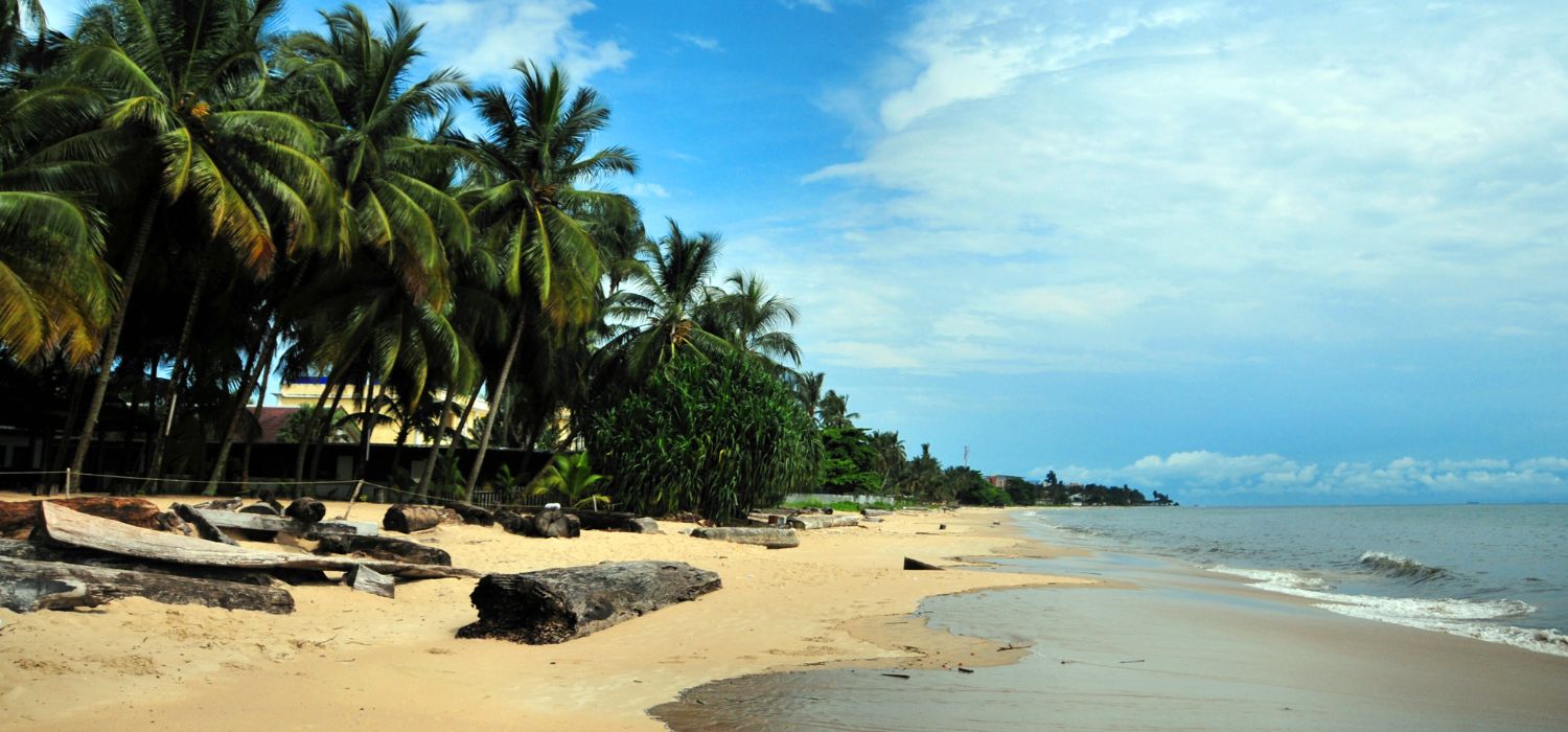 Libreville, Estuaire Province, Gabon: coconut trees and golden sand - Tropicana beach - Quartier Tahiti