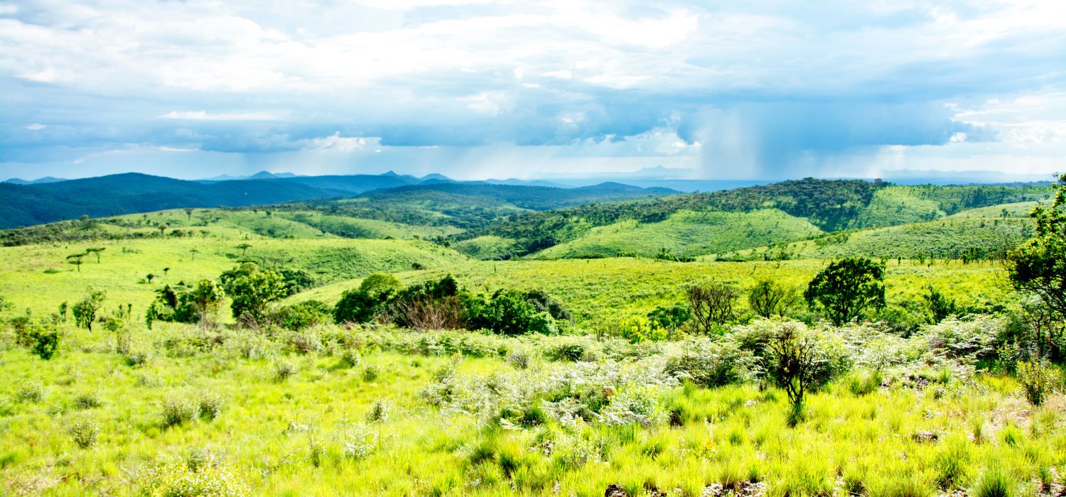 Nyika Plateau in Malawi, Central Africa, on a Rainy Day