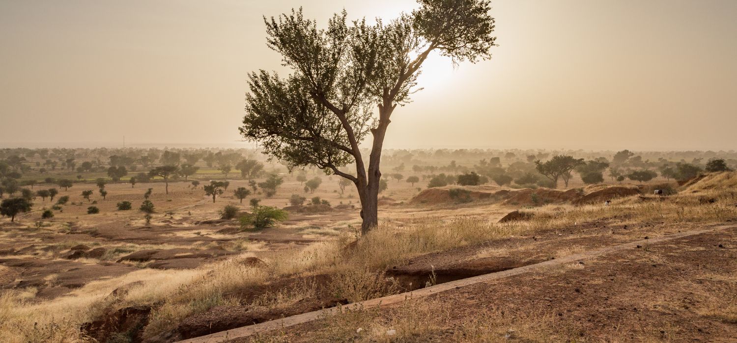 Sahel Sunset, Niger