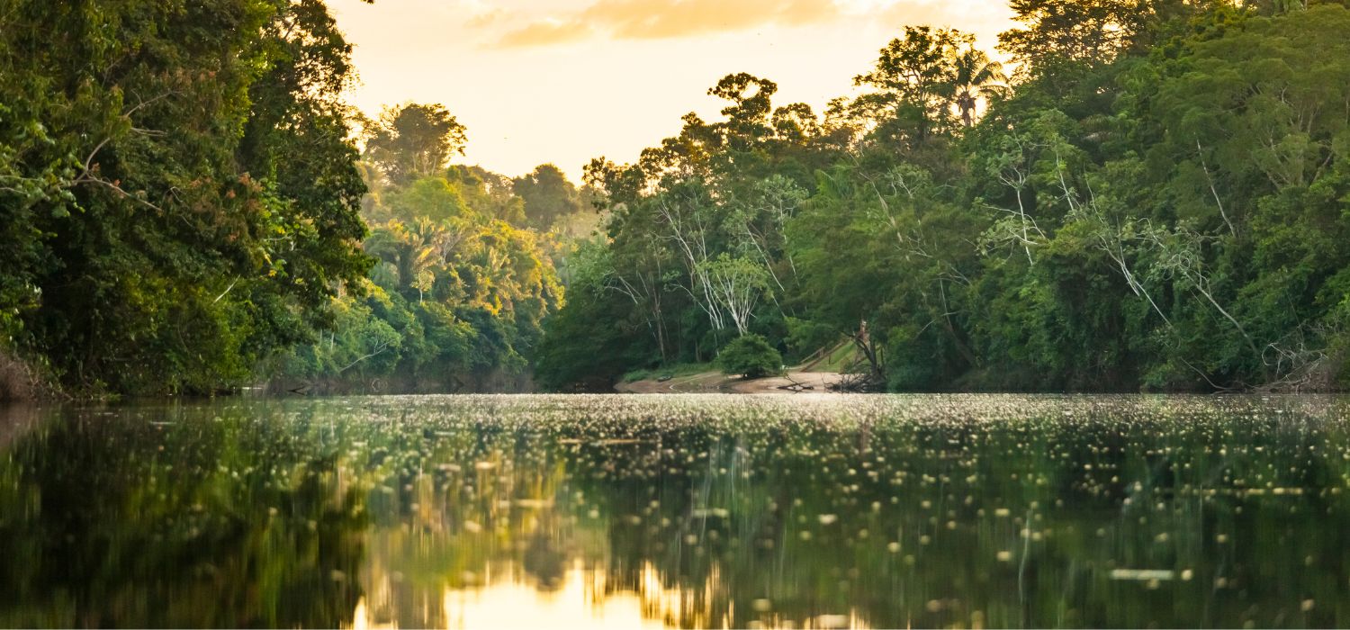 View on the Suriname river in Upper Suriname, Awarradam jungle camp